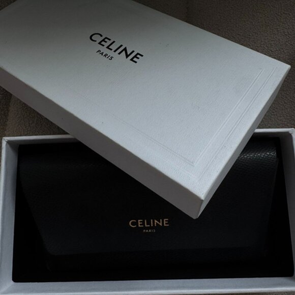 Celine Triomphe Oval Brown Sunglasses main image 4